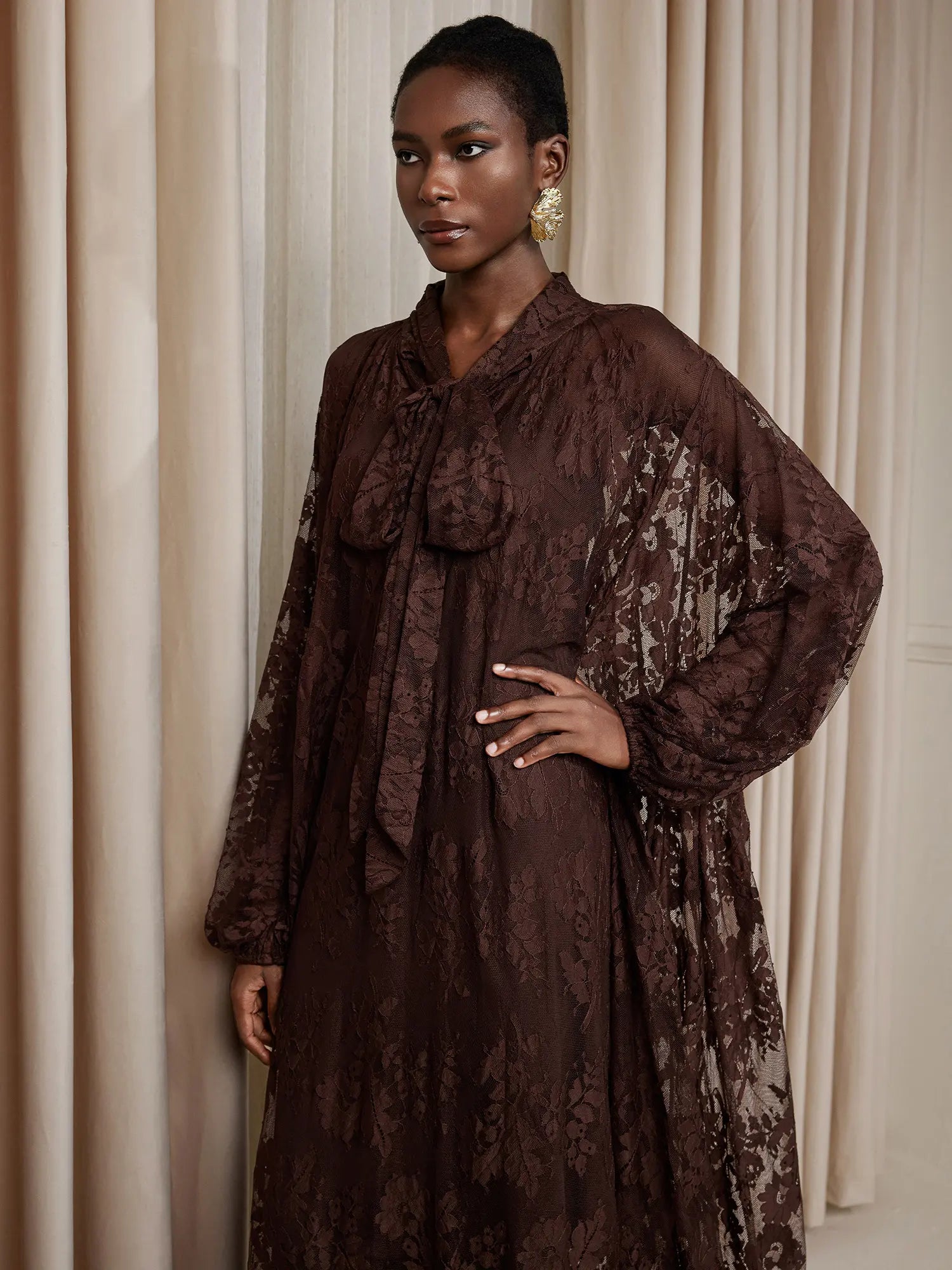 Brown Printed Sheer Maxi Dress|NOOSGOP